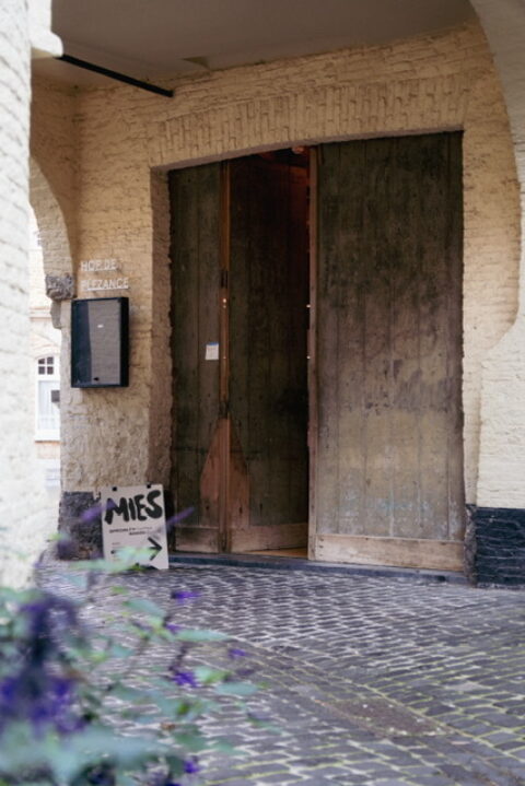 Image7